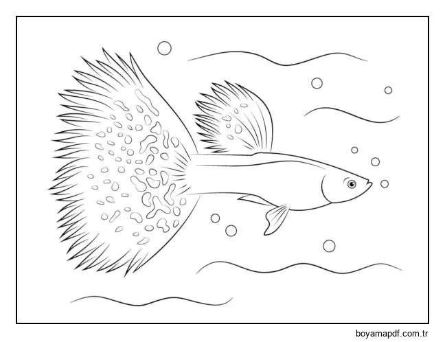 Alışılmadık gür kuyruklu lepistes balığı. karakter çizimi
