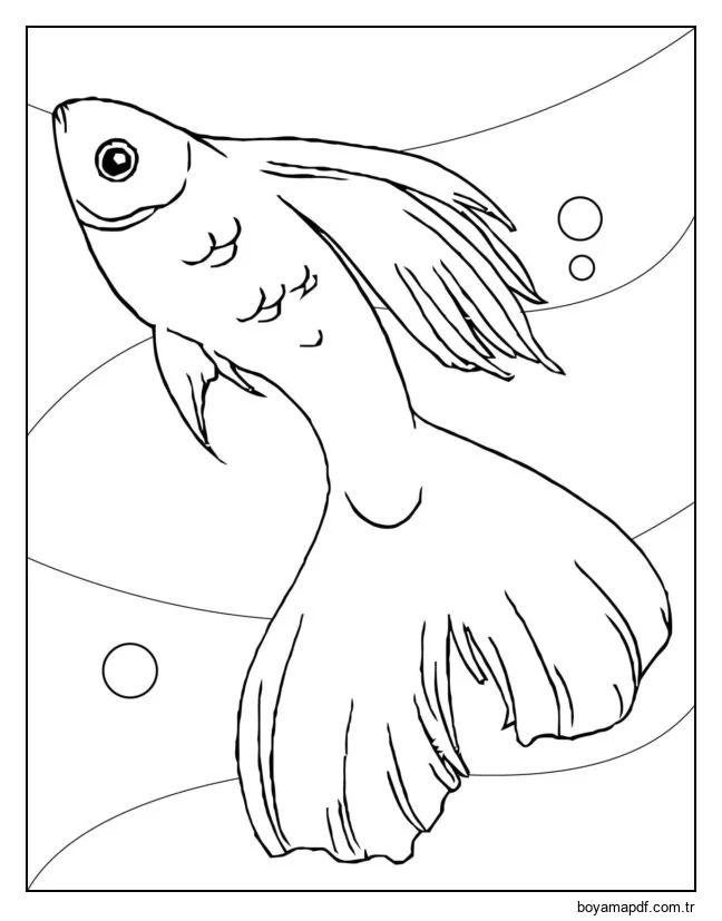 Altın balık karakter çizimi