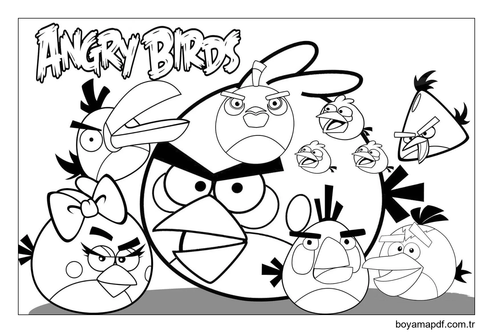 Angry Birds'ün Bütün Karakterleri Boyama Sayfası