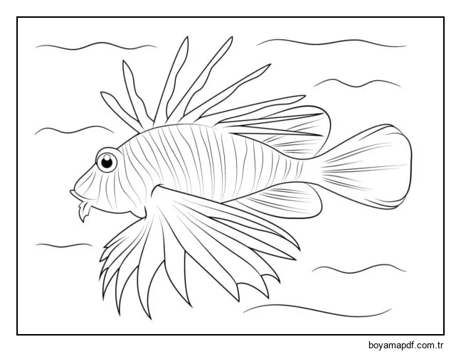 Aslan Balığı 1 karakter çizimi