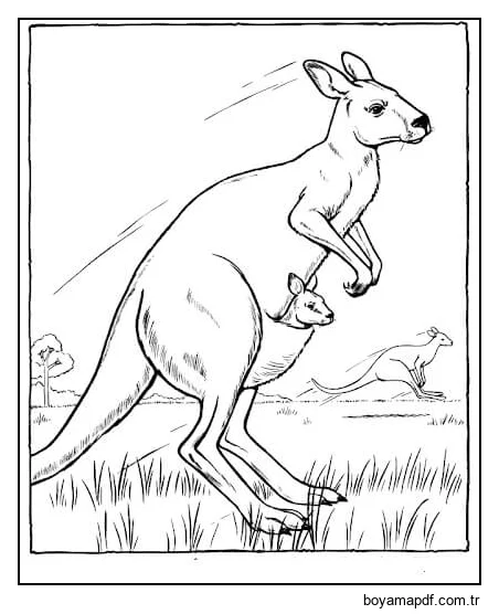 Avustralya'da Üç Kanguru karakter çizimi