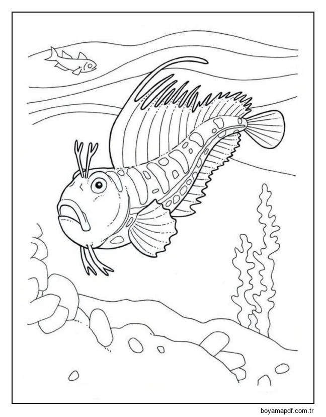 Balık - kelebek karakter çizimi