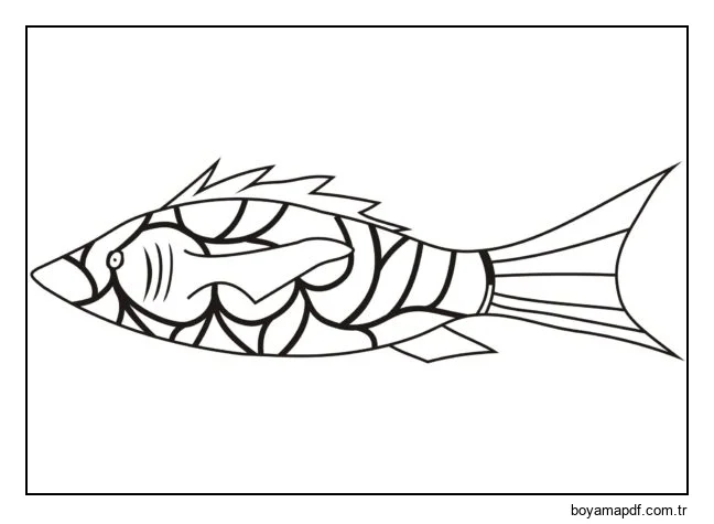 Balık Melek karakter çizimi