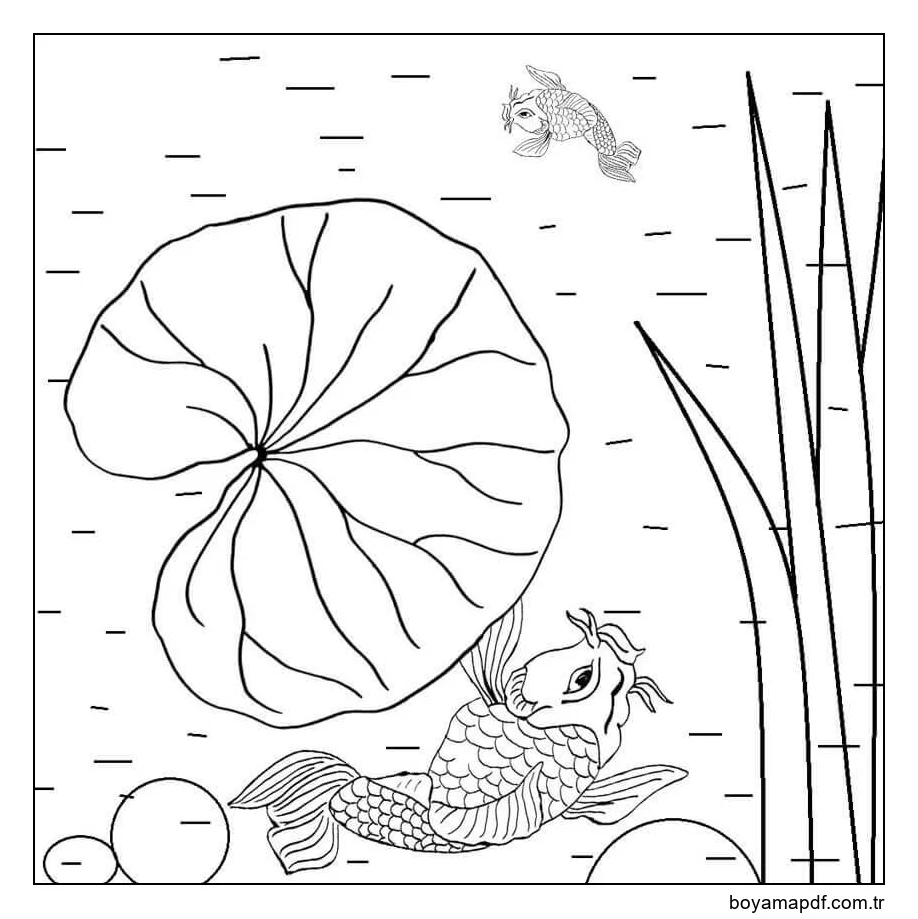 Balık ve Lily Pad karakter çizimi
