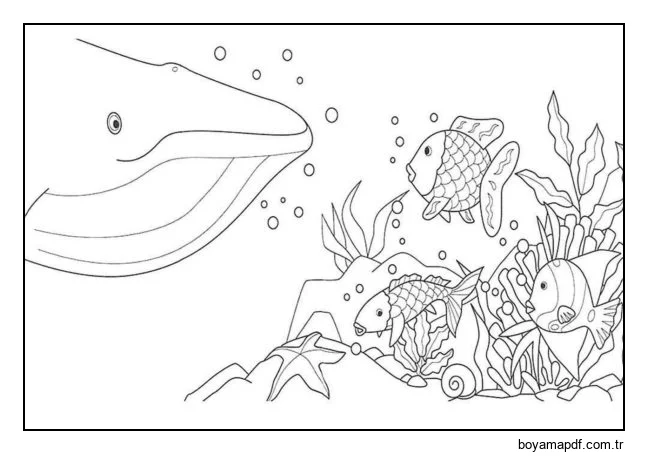Balina ve küçük balıklar. karakter çizimi