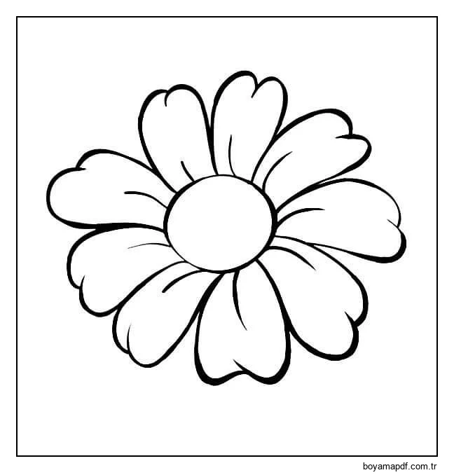 Basit Papatya Boyama Sayfası