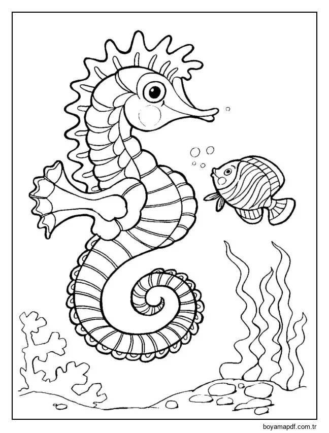 Büyük denizatı karakter çizimi