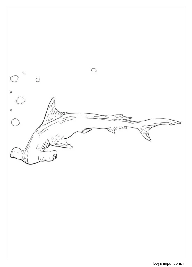 Çekiç başlı köpekbalığı karakter çizimi