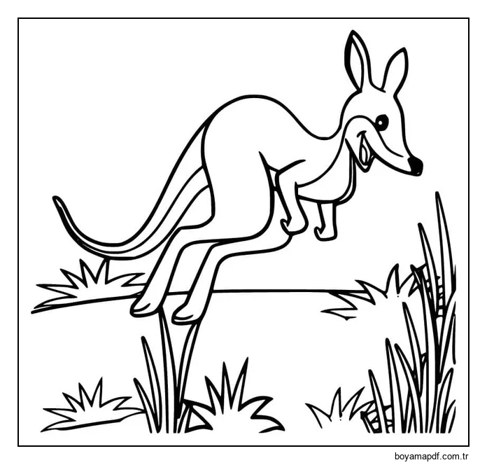 Çizmek Kanguru 4 karakter çizimi