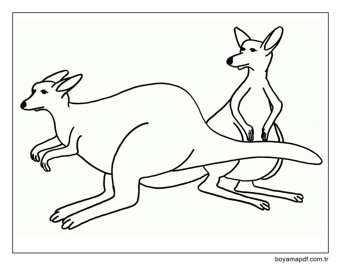 Çizmek Kanguru 6 karakter çizimi