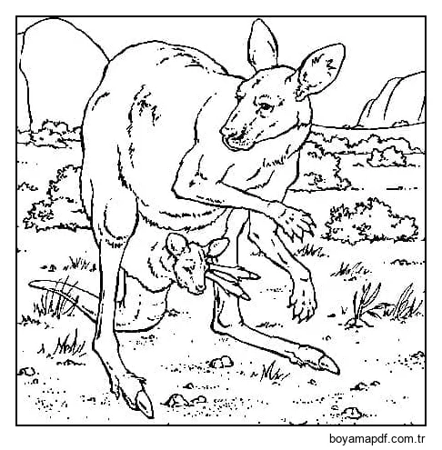 Çizmek Kanguru çocuklar için yazdırılabilir karakter çizimi