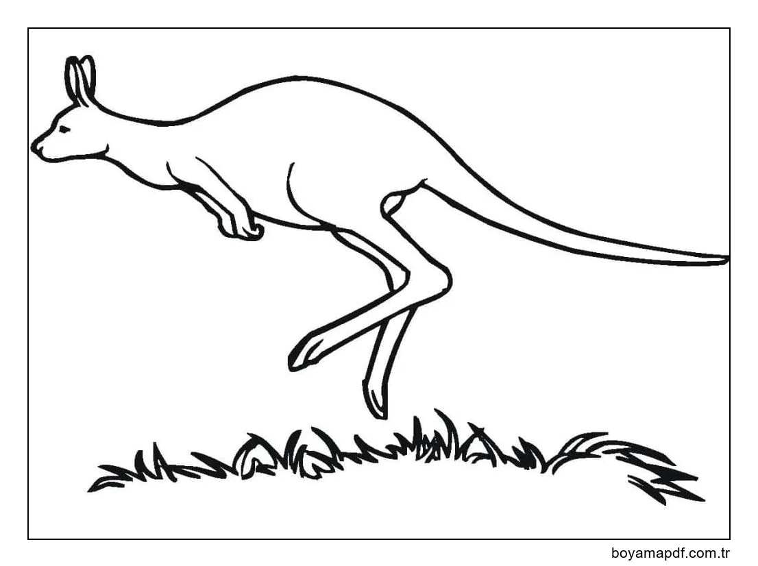 Çizmek Kanguru görüntü karakter çizimi