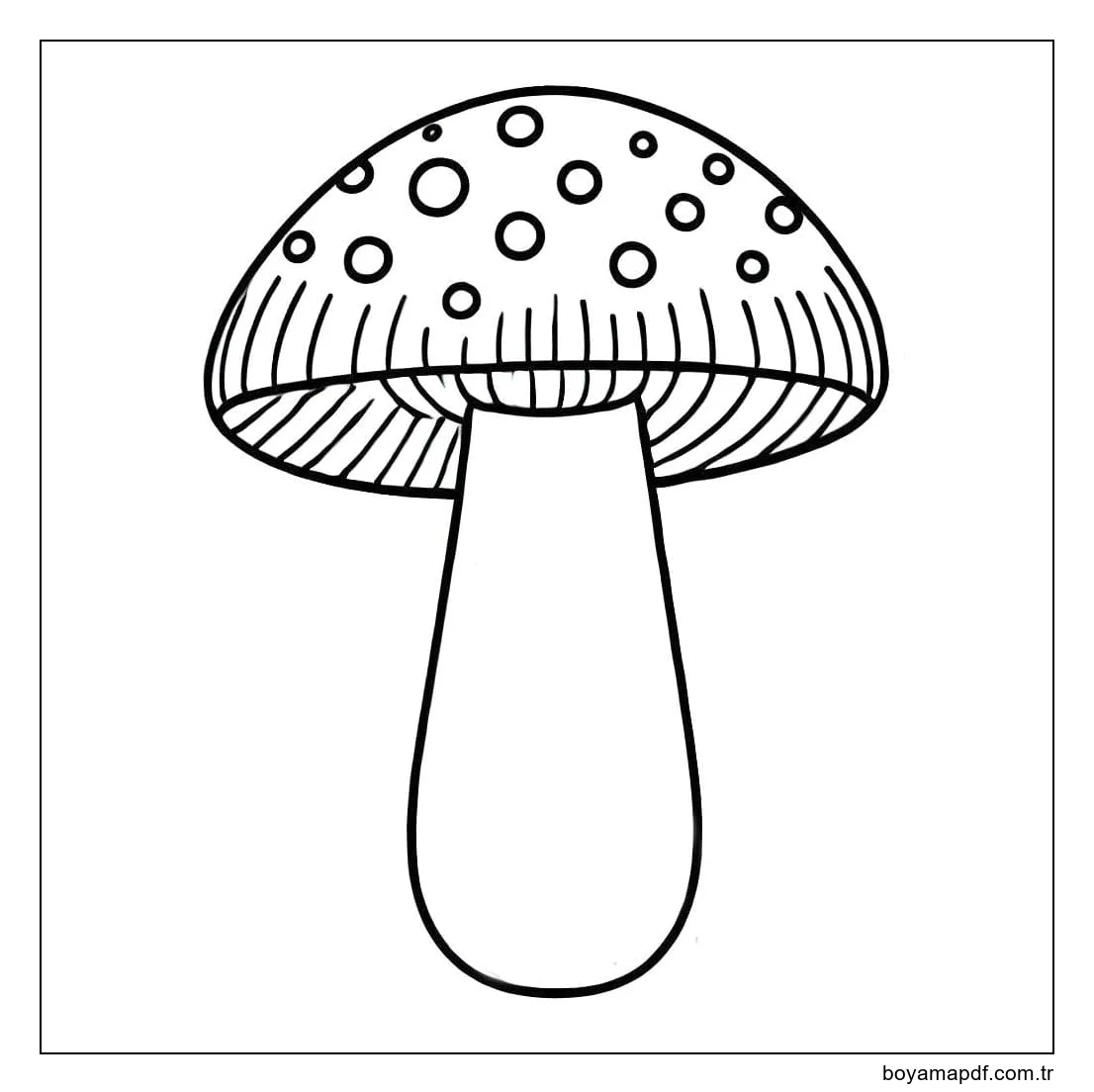 Çizmek Mantar 3 Boyama Sayfası