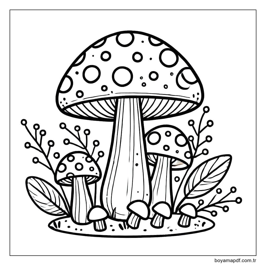 Çizmek Mantar 4 Boyama Sayfası