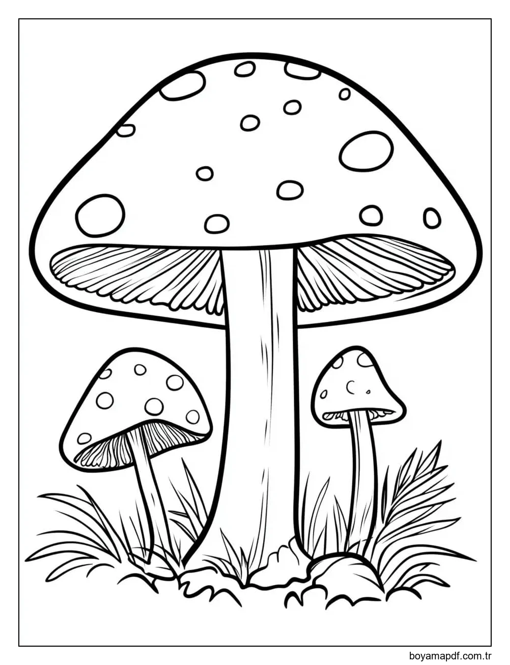 Çizmek Mantar çocuklar için Boyama Sayfası