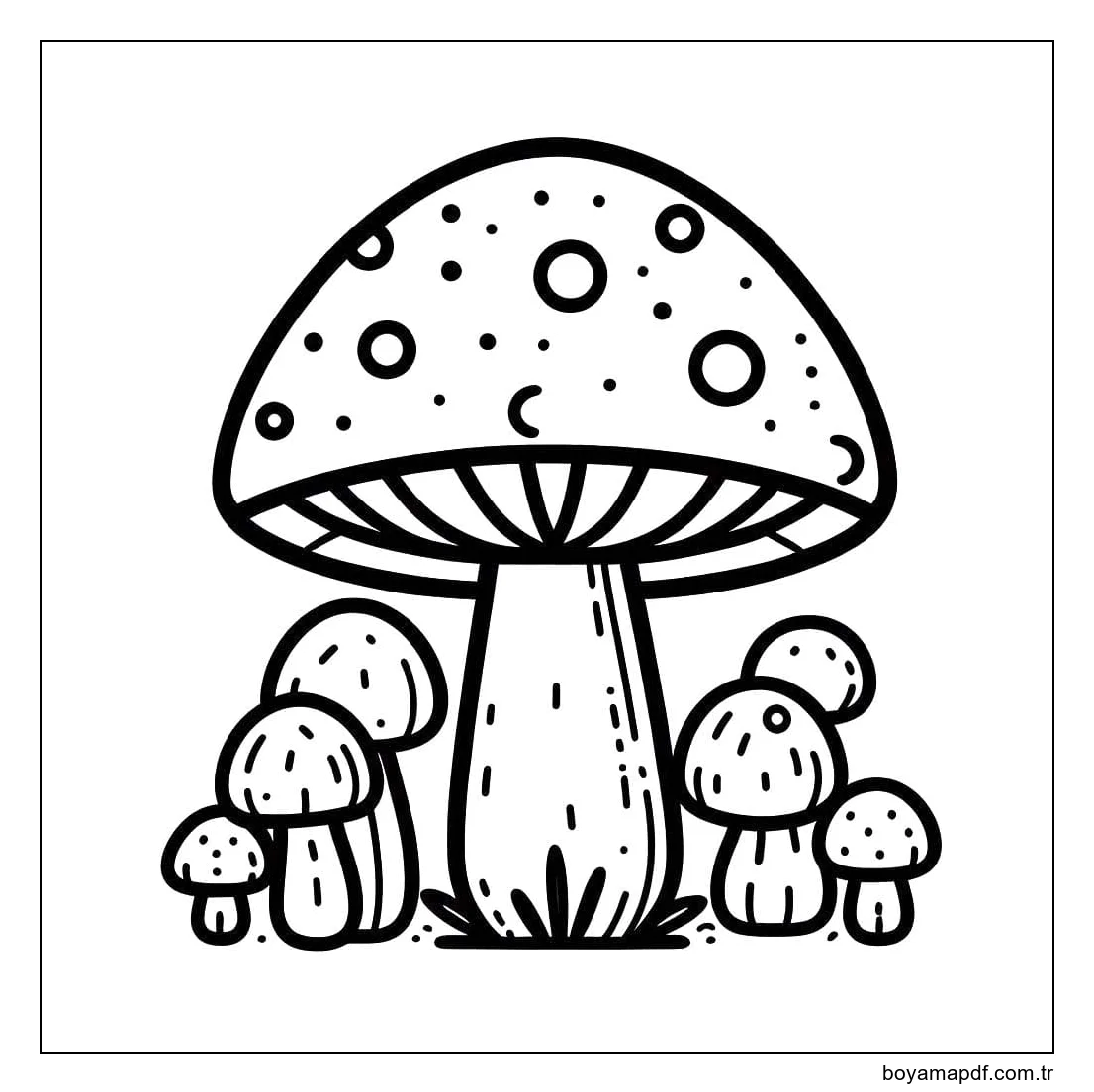 Çizmek Mantar temel Boyama Sayfası