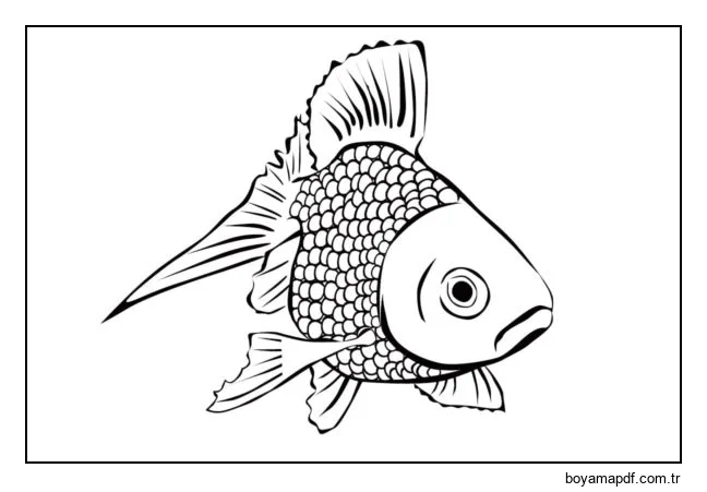 Deniz balığı karakter çizimi