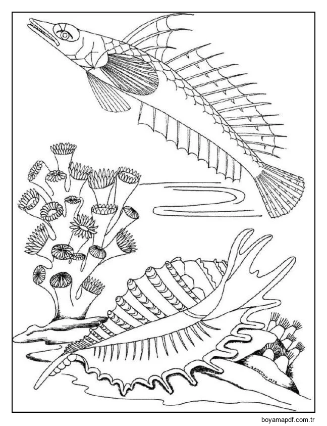 Denizaltı dünyası karakter çizimi