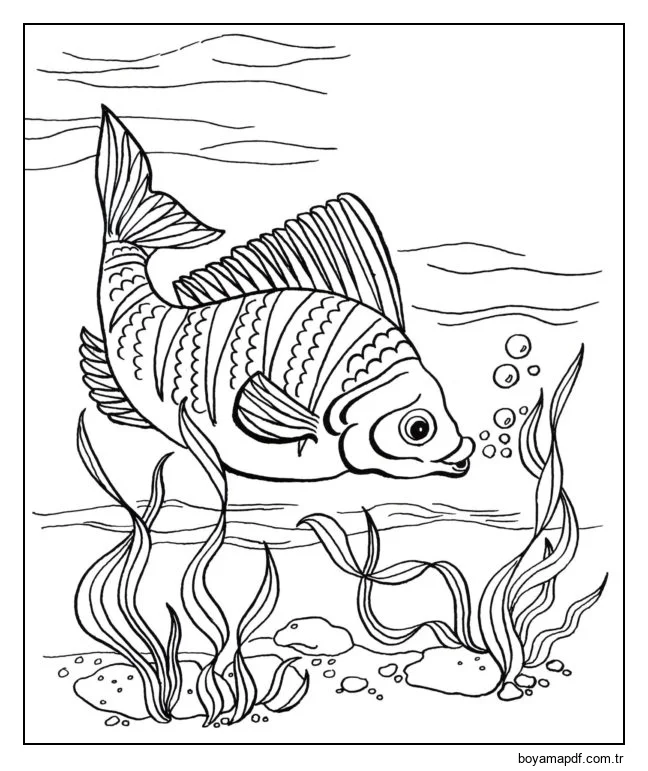 Dolgun balık karakter çizimi