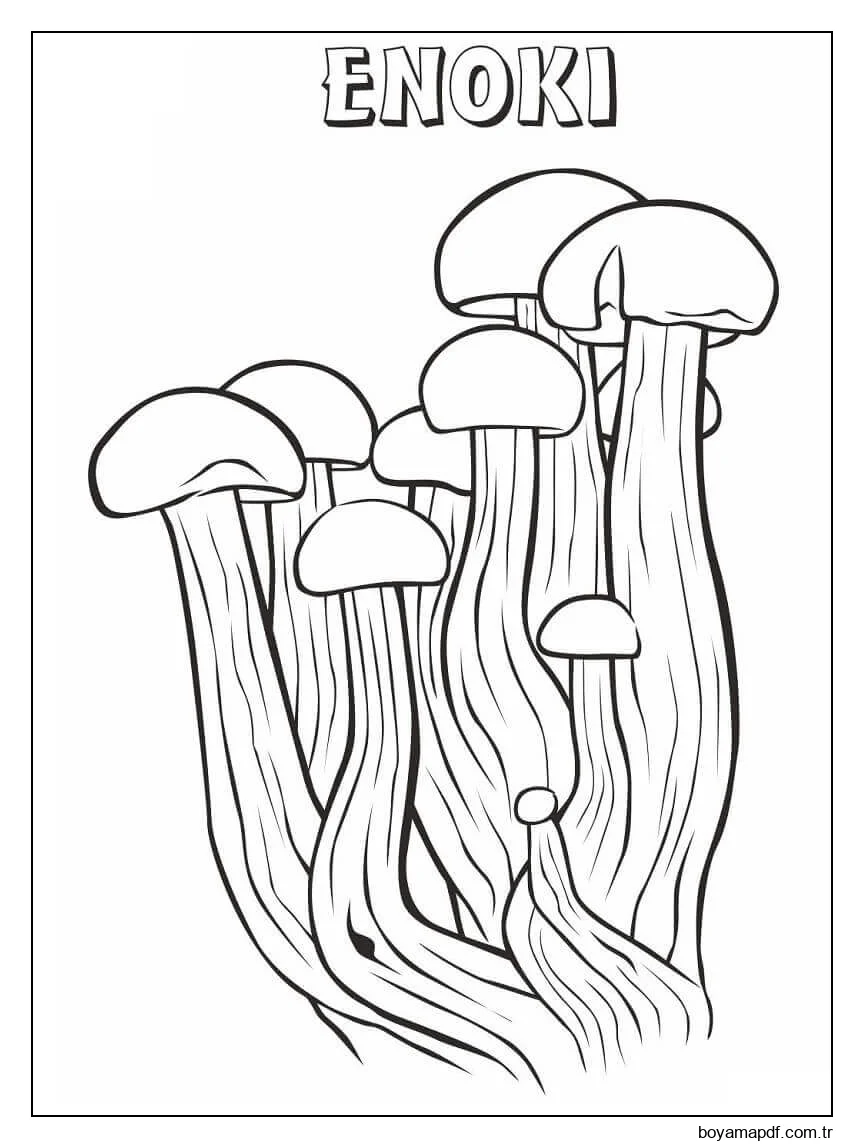 Enoki Mantarları Boyama Sayfası