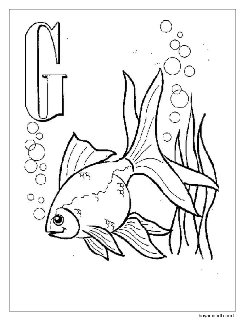 G-Japon Balığı karakter çizimi