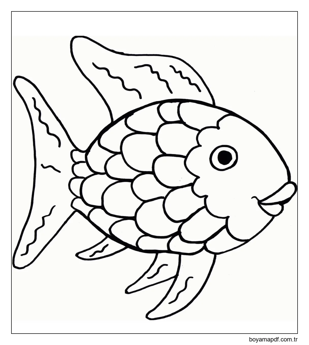 Gökkuşağı Balığı karakter çizimi