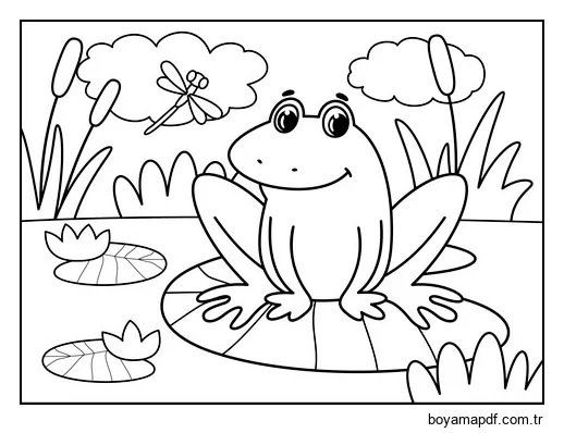 Göldeki Kurbağa Boyama Sayfası
