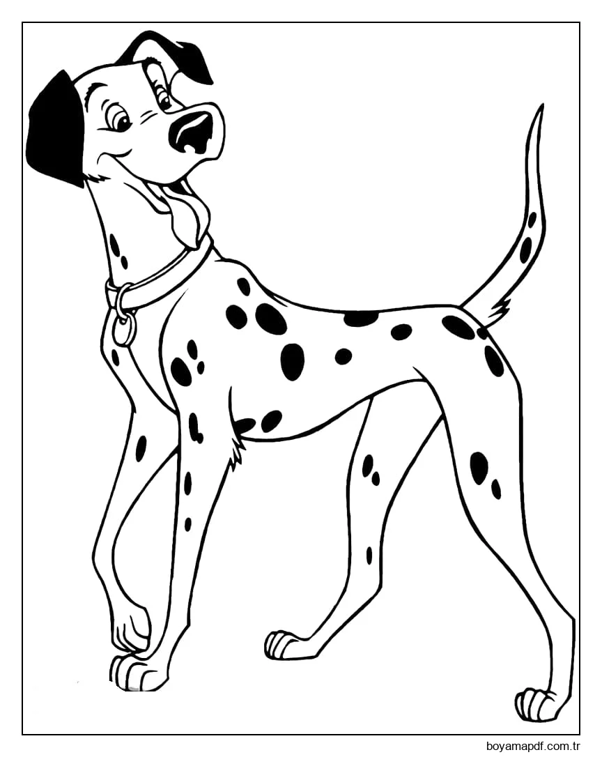 Güzel Dalmaçyalı karakter çizimi