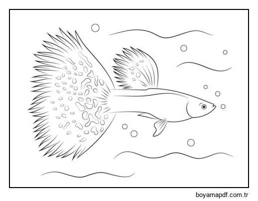 Güzel Lepistes karakter çizimi