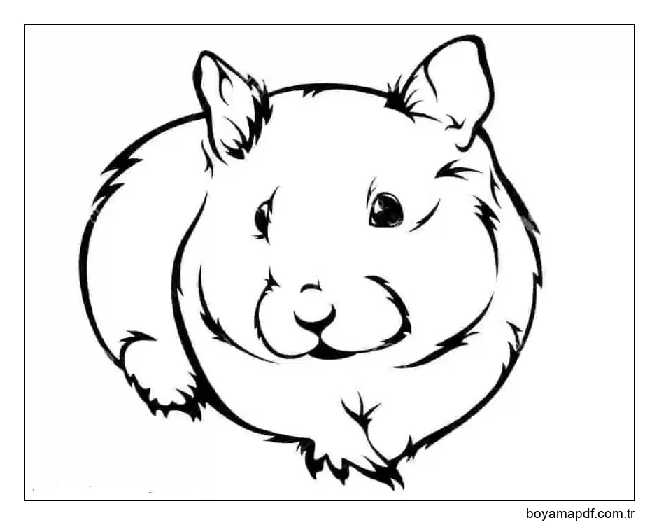 Hamster, Koşmak karakter çizimi