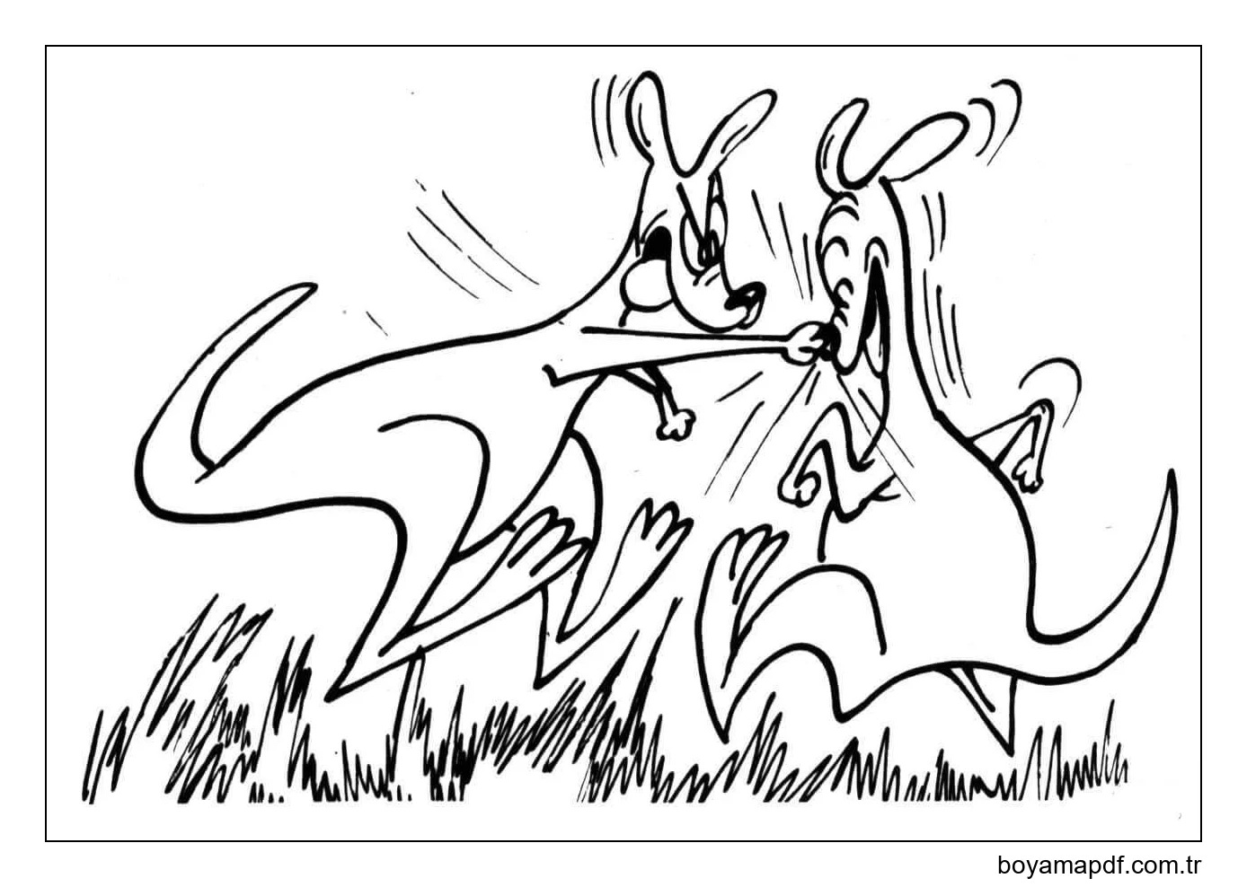 İki Kanguru Dövüşü karakter çizimi