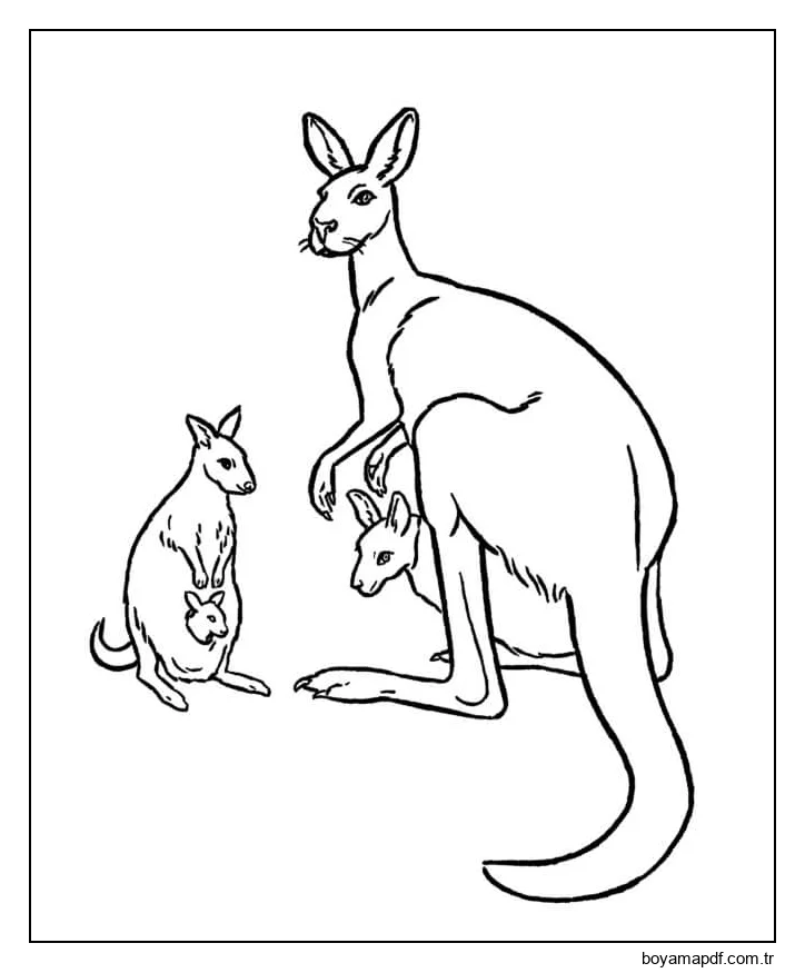 Kanguru ve Arkadaşları karakter çizimi