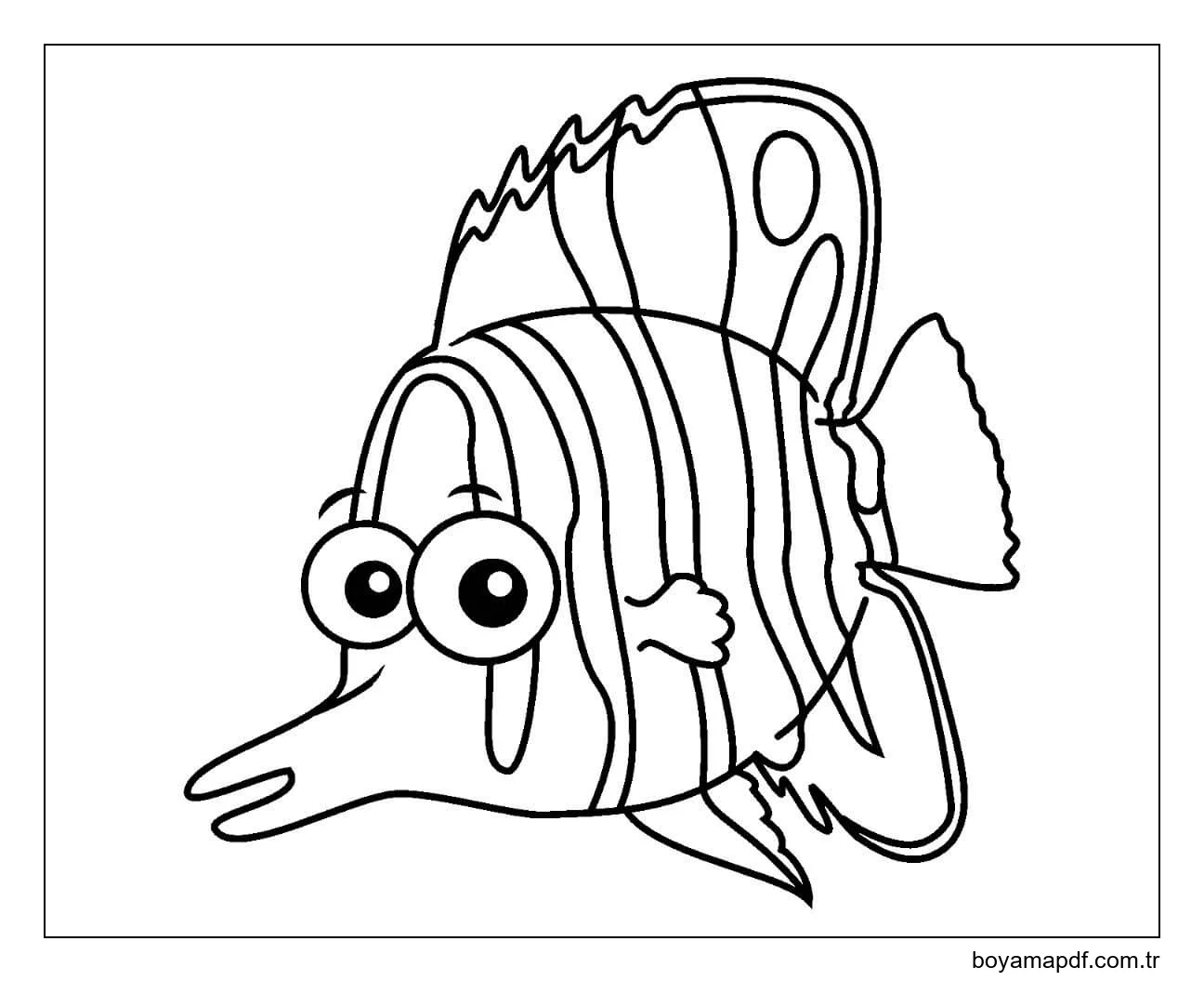 Kelebek Balığı karakter çizimi