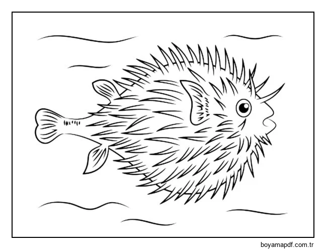 Kirpi balığının dikenlerle kaplı top şeklinde bir gövdesi vardır. karakter çizimi