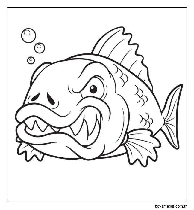 Kızgın balık karakter çizimi