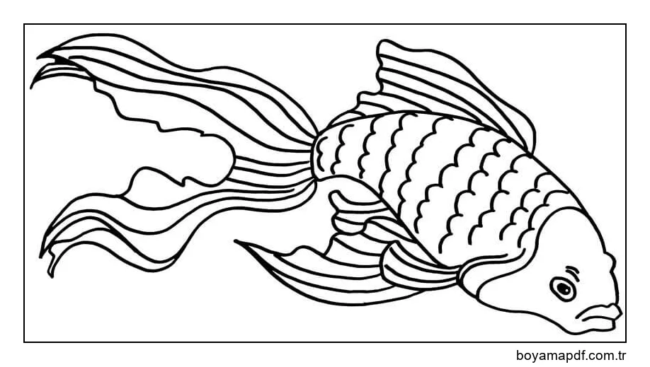Kızgın Japon Balığı karakter çizimi