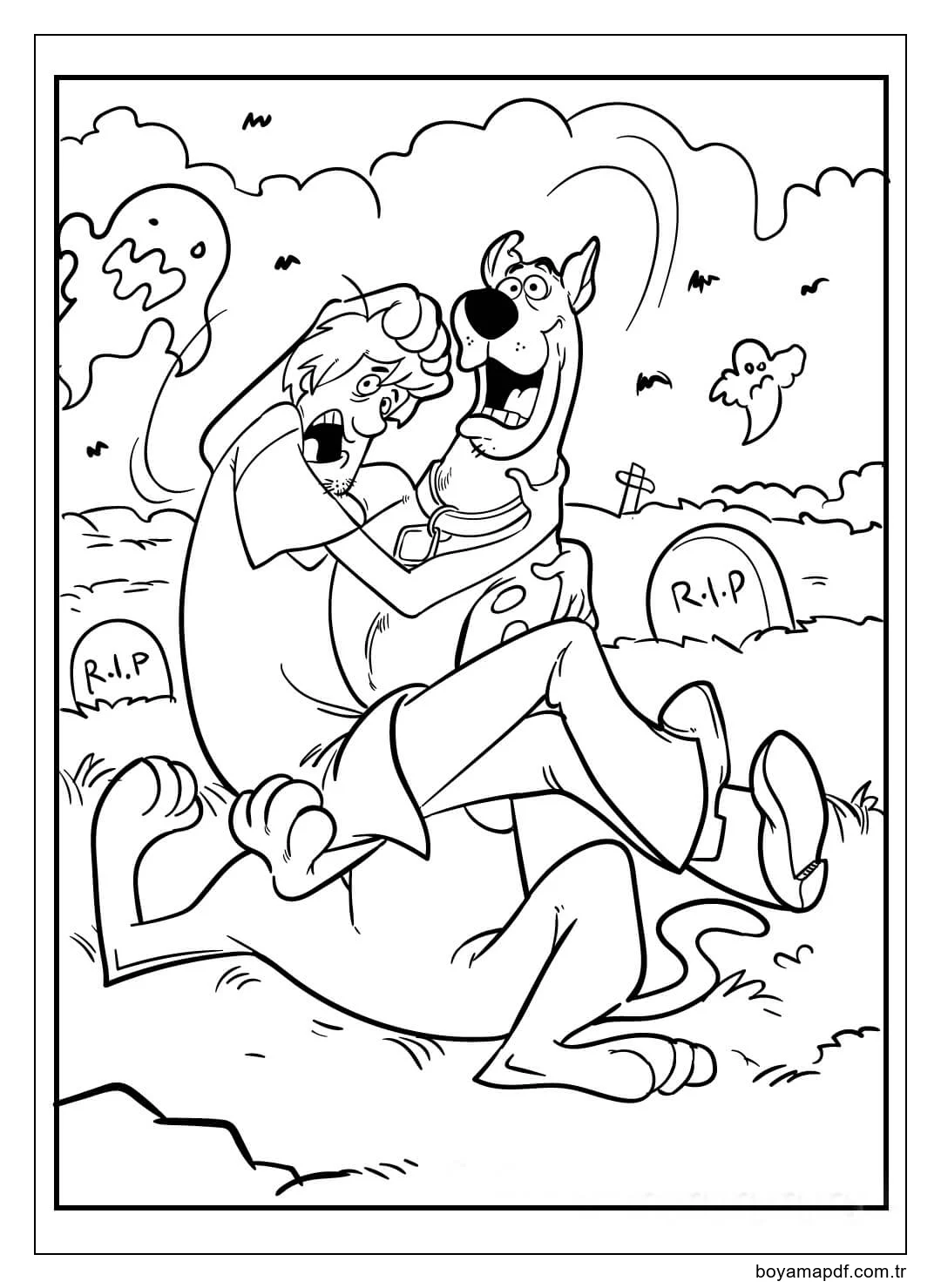 Korkmuş Scooby Doo ve Shaggy karakter çizimi