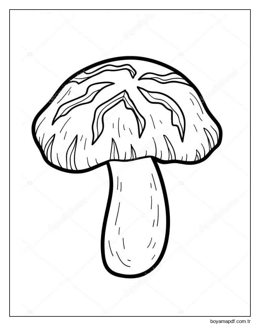 Mantar 1 Boyama Sayfası