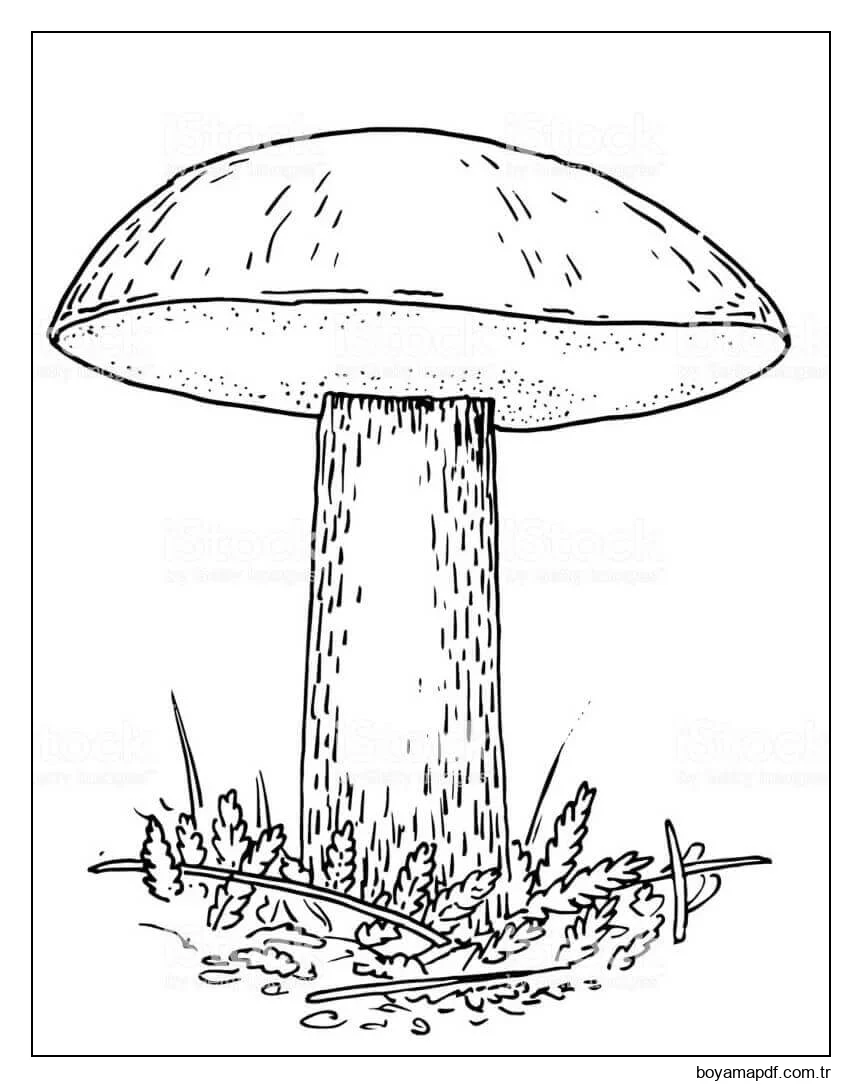 Mantar 2 Boyama Sayfası