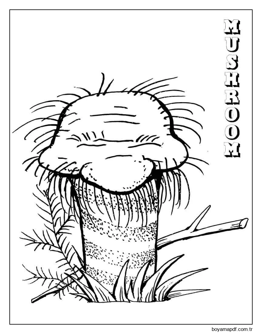 Mantar 3 Boyama Sayfası