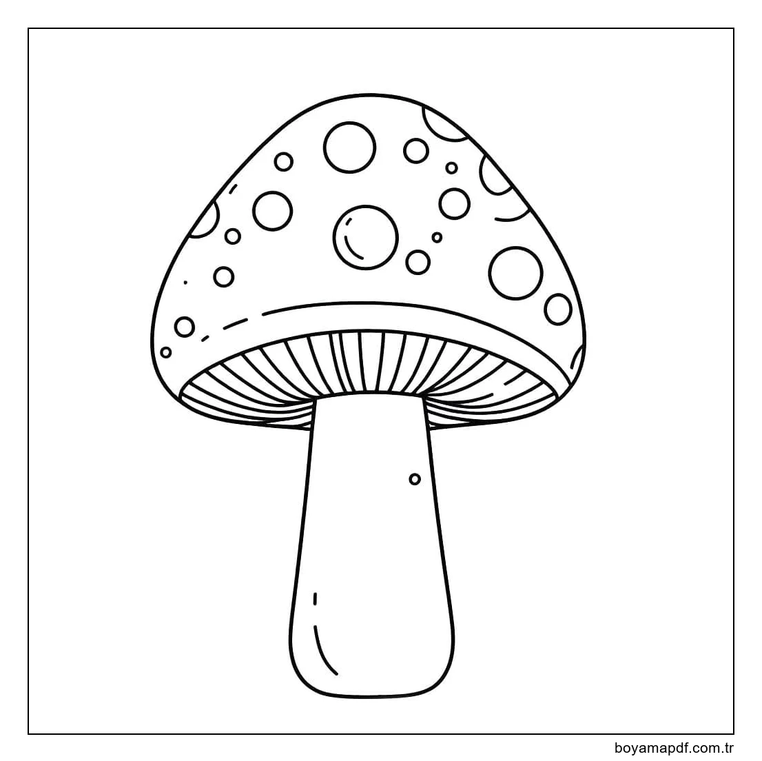 Mantar kolay Boyama Sayfası