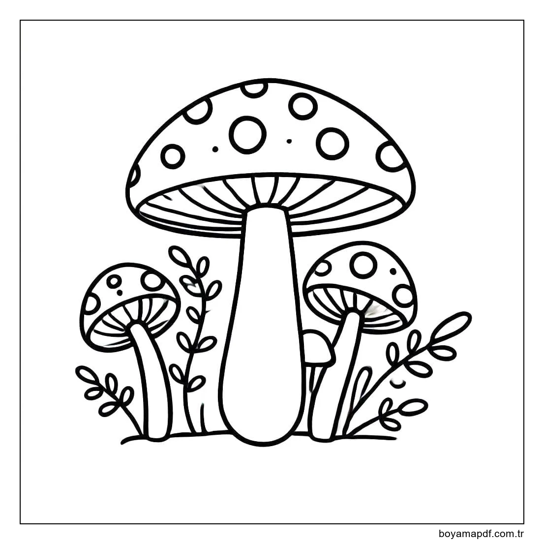 Mantar temel Boyama Sayfası