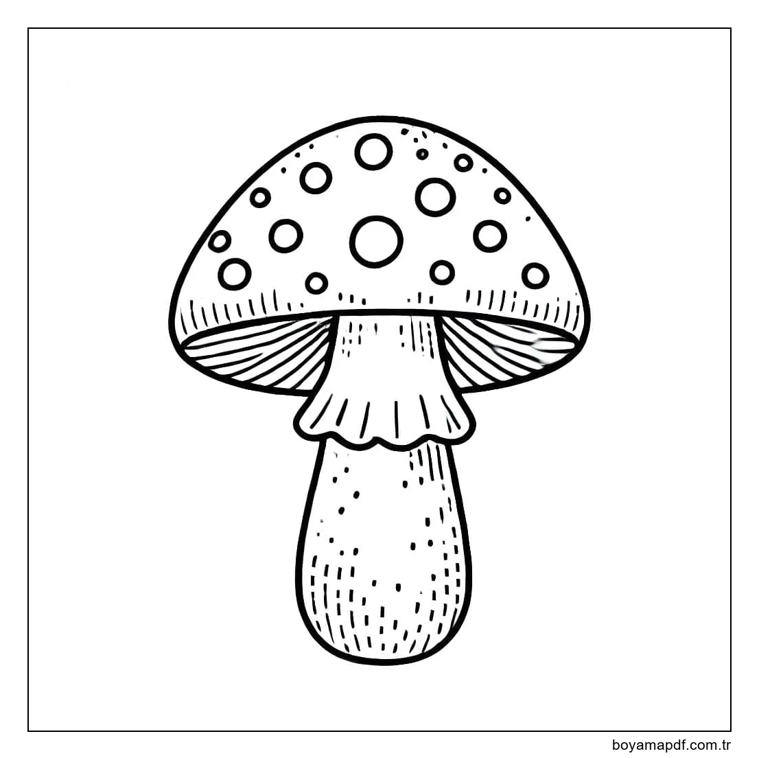 Mantar Ücretsiz Boyama Sayfası