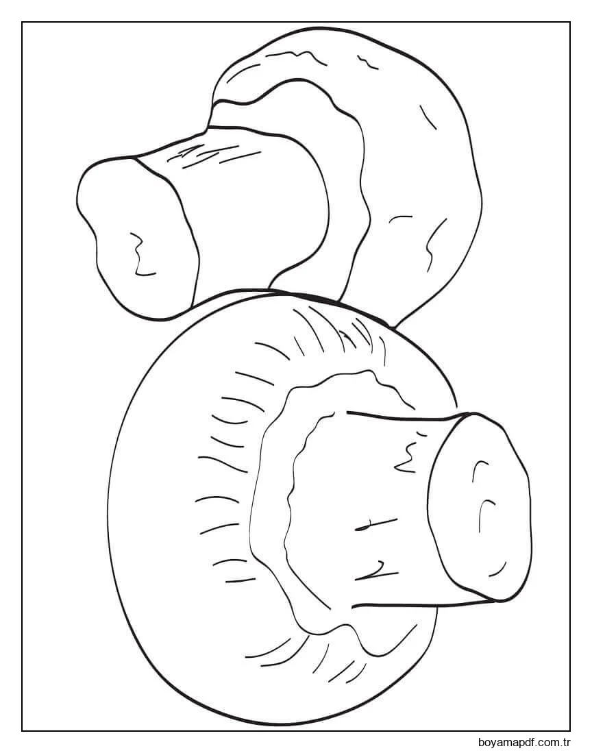 Mantarlar Boyama Sayfası