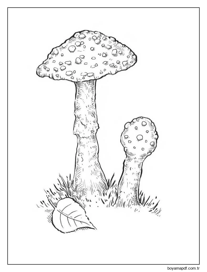 Mantars 2 Boyama Sayfası