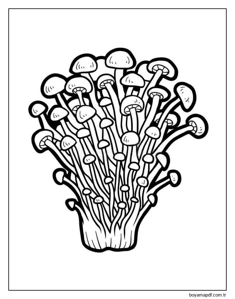 Mantars 3 Boyama Sayfası