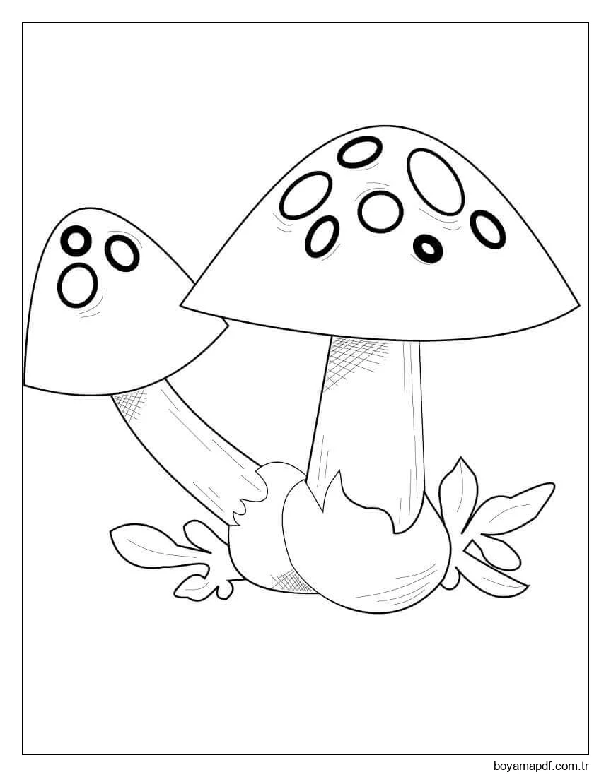 Mantars 4 Boyama Sayfası