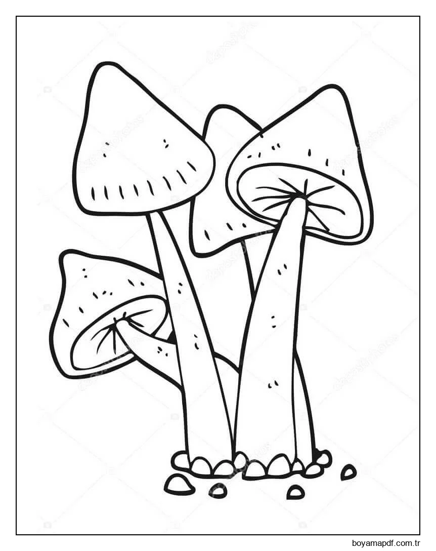 Mantars 5 Boyama Sayfası