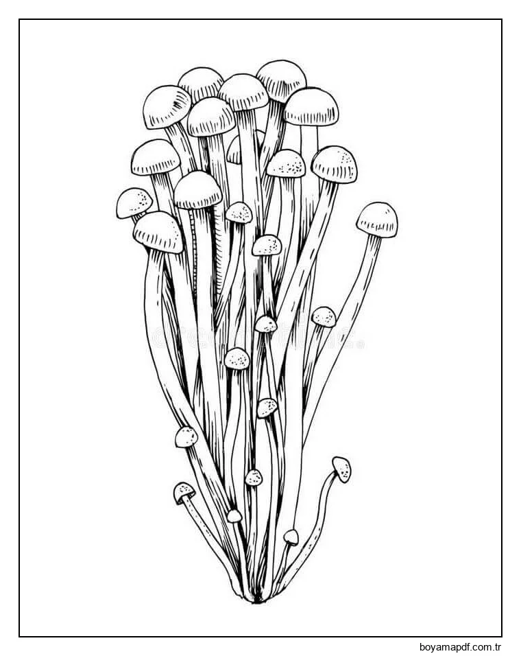 Mantars 7 Boyama Sayfası