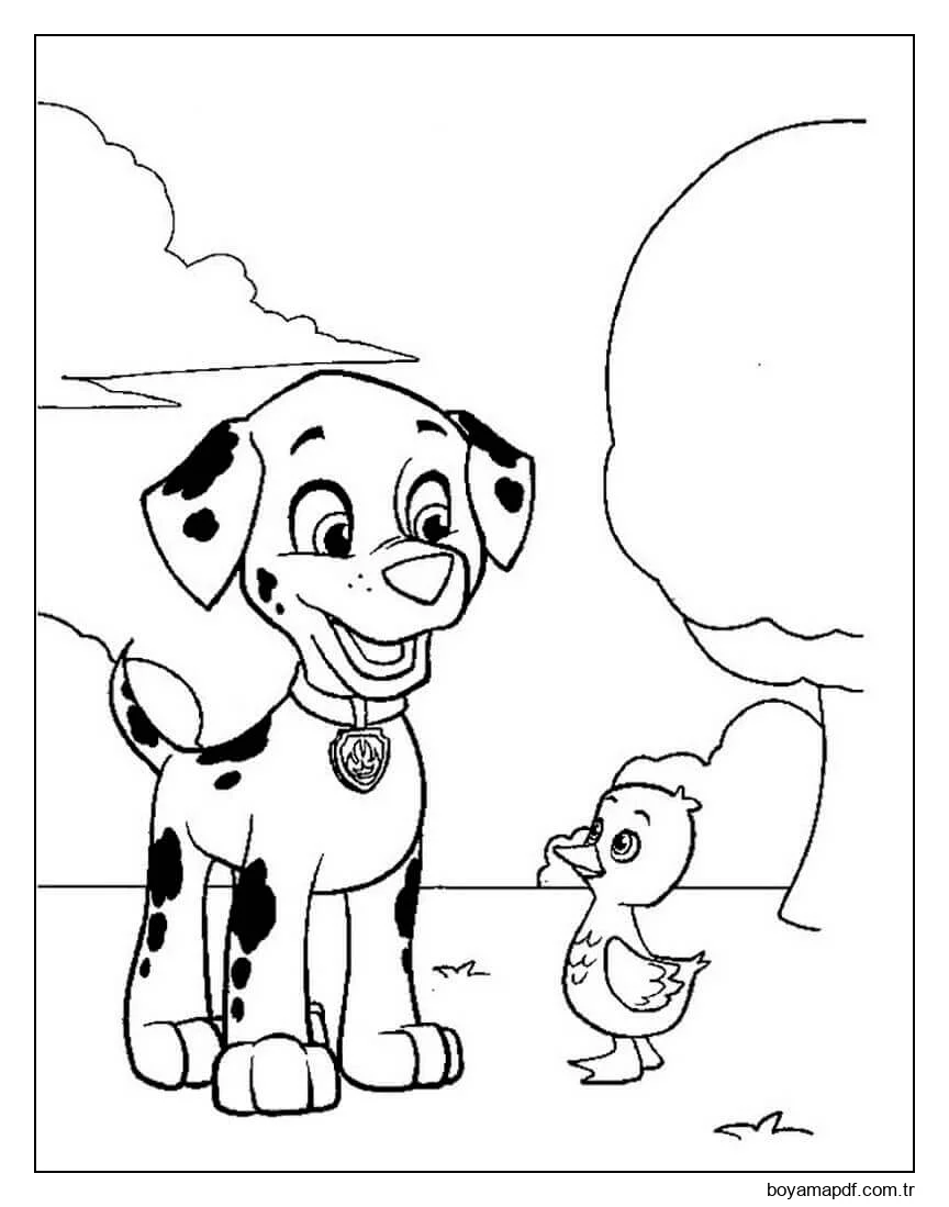 Marshall ve bir Yavru Kaz Boyama Sayfası